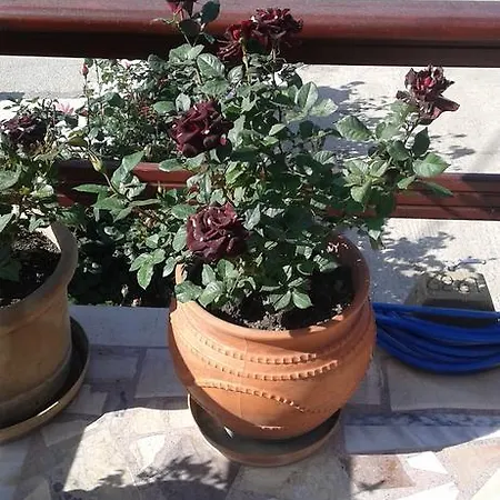 Apartament Kyriakos *