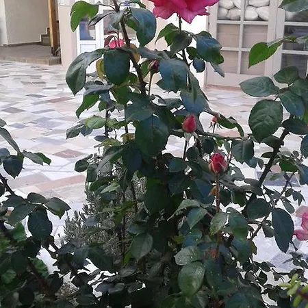 Kyriakos Apartament